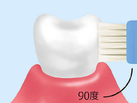 歯みがき指導