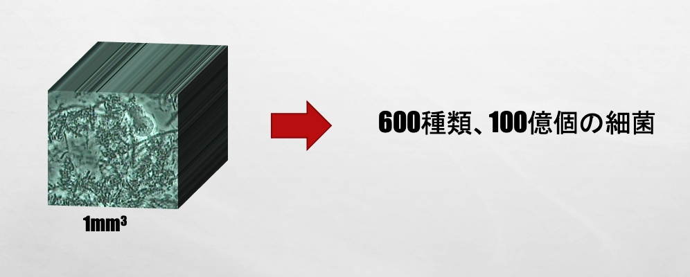 「むせ」がある方、誤嚥性肺炎を起こした方の歯科治療の注意点4