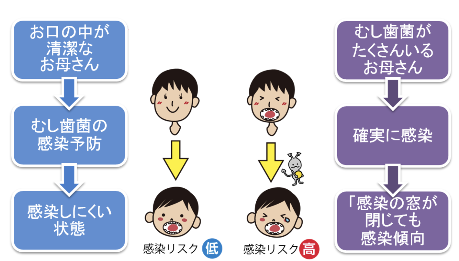 1歳半歯科検診（北九州市1歳6ヶ月児歯科健診）に行かないでも大丈夫？？5