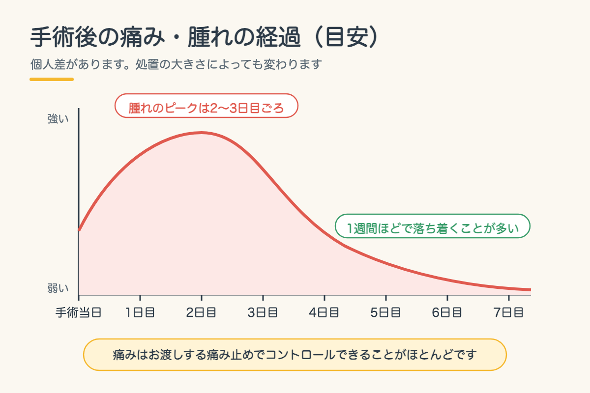 【インプラント】手術当日の流れ｜痛み・腫れはどのくらい？仕事は休むべき？北九州市小倉南区の歯医者が解説5