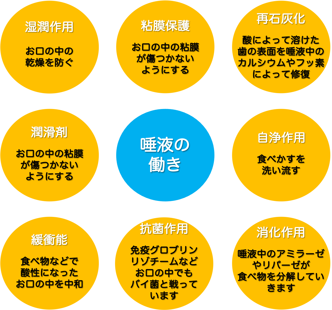 やってみよう！唾液腺マッサージ♪ 〜知っていますか？唾液の効果とドライマウス予防〜2