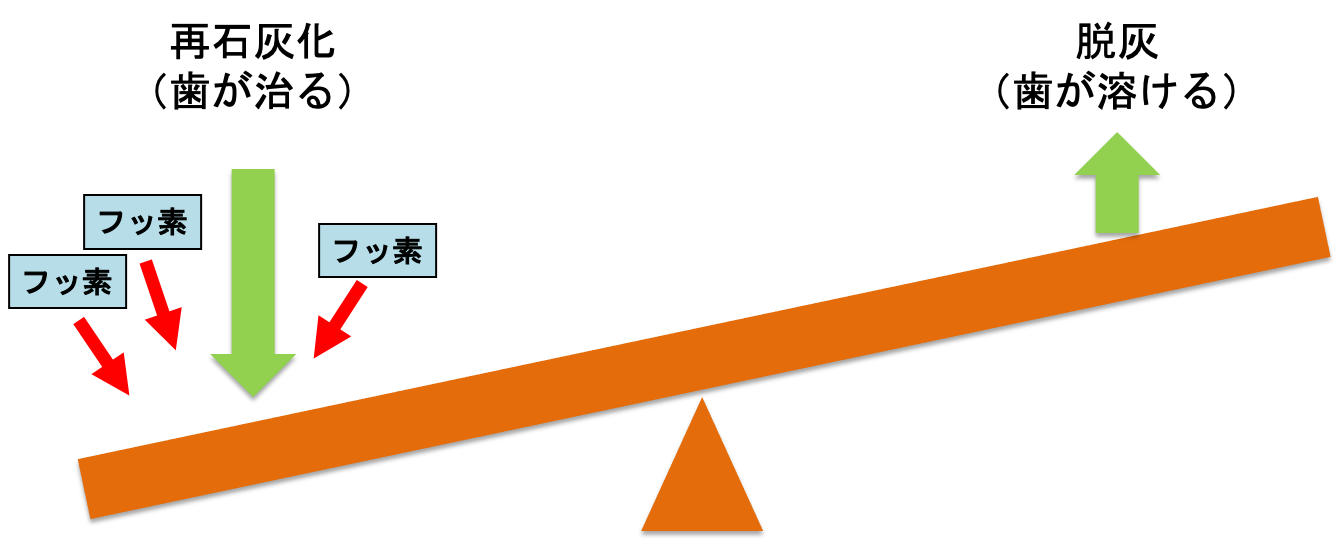 フッ素って毒なの？フッ素は塗った方がいいの？3