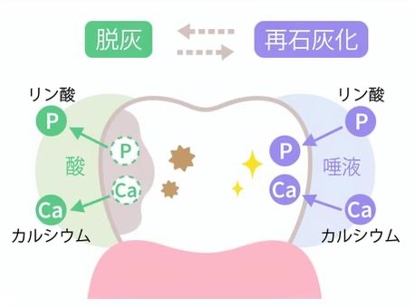 唾液が虫歯予防に大きく関わる？？4