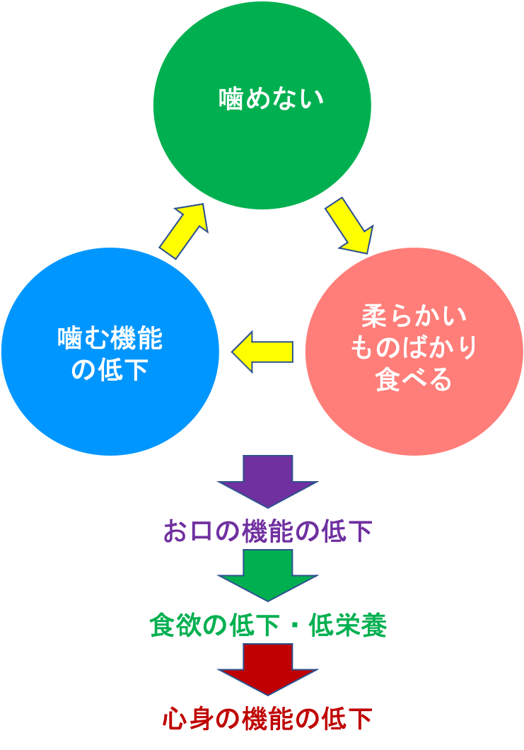 歯で噛めることによる認知症・転倒との関係3