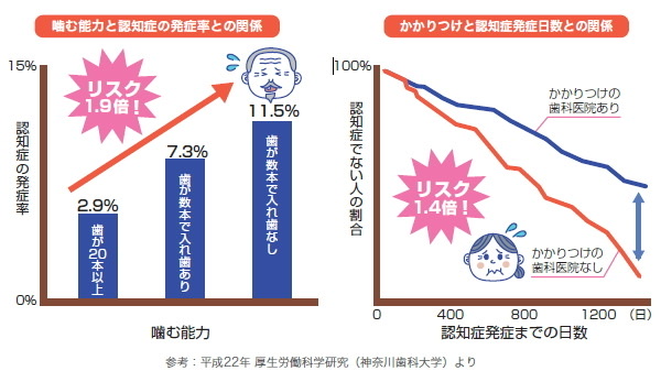 歯で噛めることによる認知症・転倒との関係6