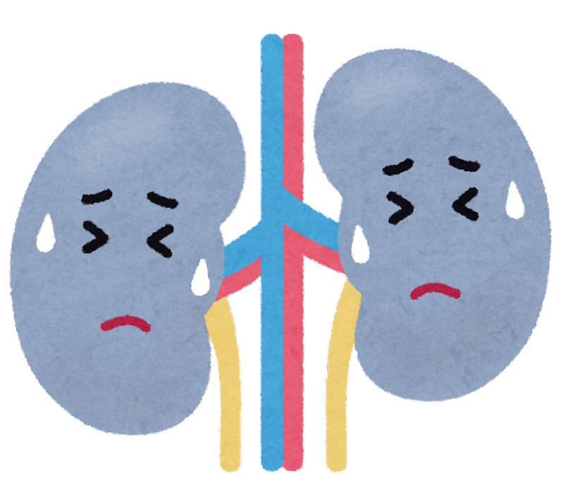 人工透析を受けている方や慢性腎臓病（CKD）の歯科治療について3